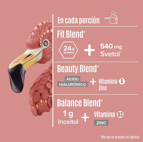 Proteína Vegetal Fitmingo Vainilla By Ale Rubio | Birdman