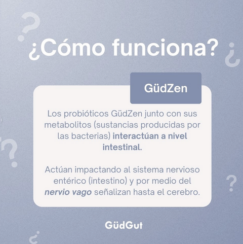 GüdZen Probióticos ⎜GüdGut