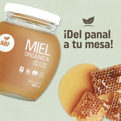 Miel Orgánica Pura con Panal 454g NBF