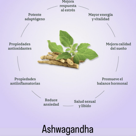 Ashwagandha Extracto | Commons